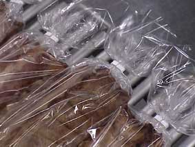 Ribs-clip-example.jpg